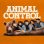 Animal Control : 2.Sezon 9.Bölüm izle