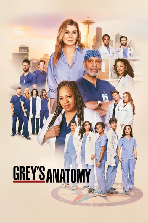 Grey’s Anatomy : 19.Sezon 14.Bölüm