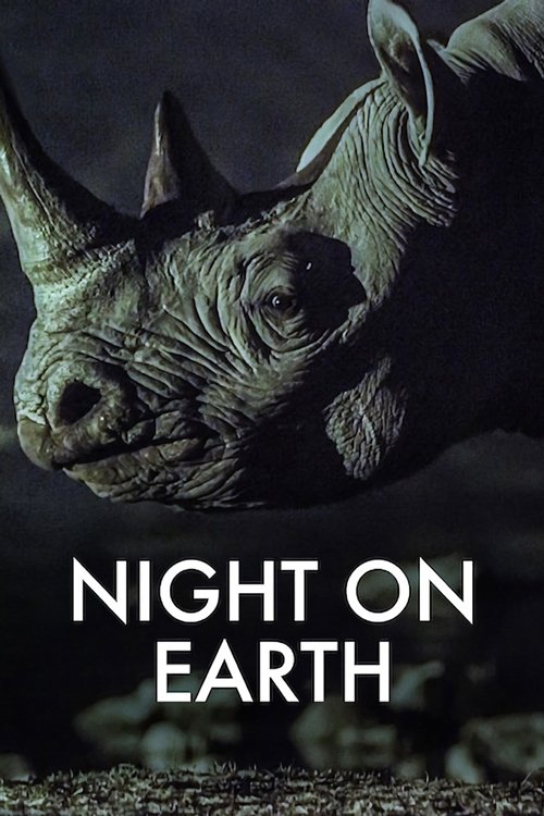 Night on Earth : 1.Sezon 4.Bölüm