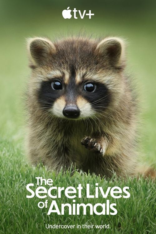The Secret Lives of Animals : 1.Sezon 1.Bölüm