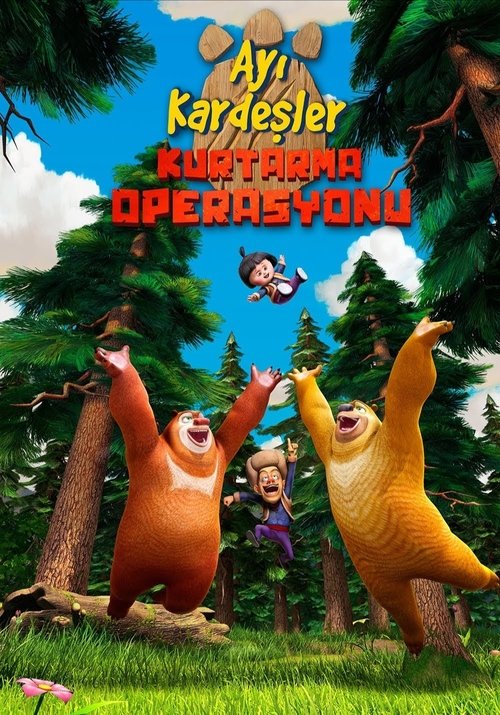 Ayı Kardeşler: Kurtarma Operasyonu izle (2014)