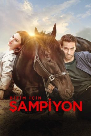 Bir Çılgının İçinde izle (2008)