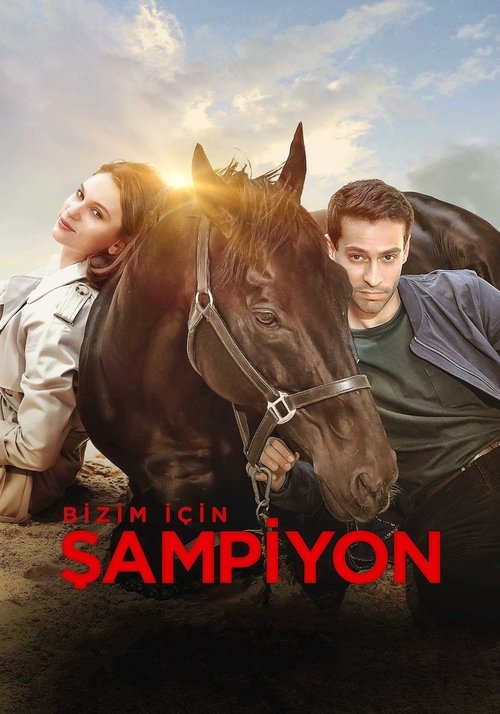 Bir Çılgının İçinde izle (2008)