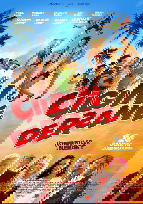 Çılgın Dersane izle (2007)