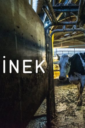 Dood van een Schaduw izle (2012)