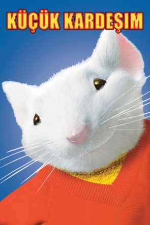 Küçük Kardeşim izle (1999)