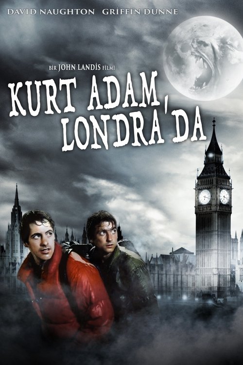 Kurt Adam Londra’da izle (1981)