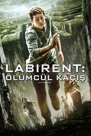 Labirent: Ölümcül Kaçış izle (2014)