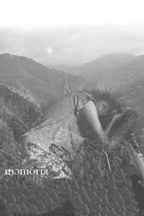 Il giardino delle delizie izle (1967)