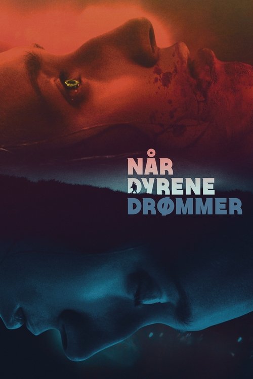 Når dyrene drømmer izle (2014)