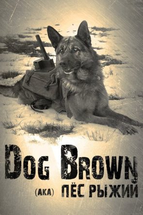 Pyos Ryzhiy izle (2016)