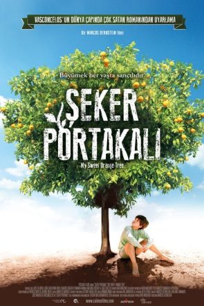Şeker Portakalı izle (2013)