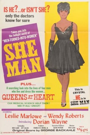She-Man: A Story of Fixation izle (1967)