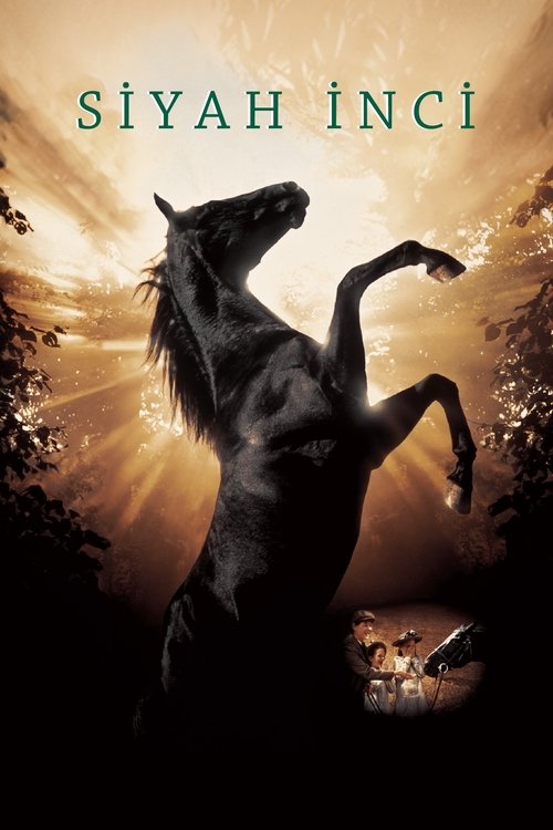 İlk Aşk izle (2006)