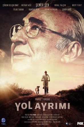 Yol Ayrımı izle (2017)