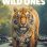 The Wild Ones : 1.Sezon 6.Bölüm izle