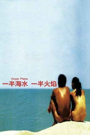 一半海水一半火焰 izle (2008)