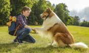 Lassie Eve Dön izle (2020)
