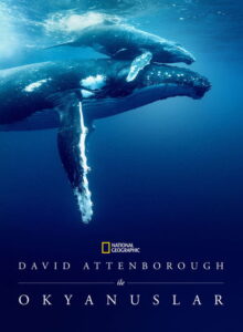David Attenborough ile Okyanuslar izle (2025) izle