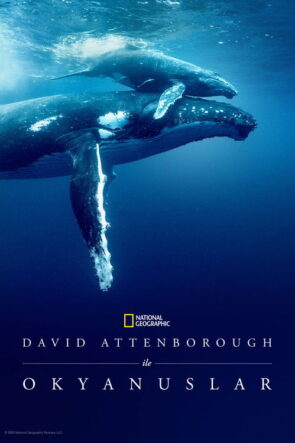 David Attenborough ile Okyanuslar izle (2025)